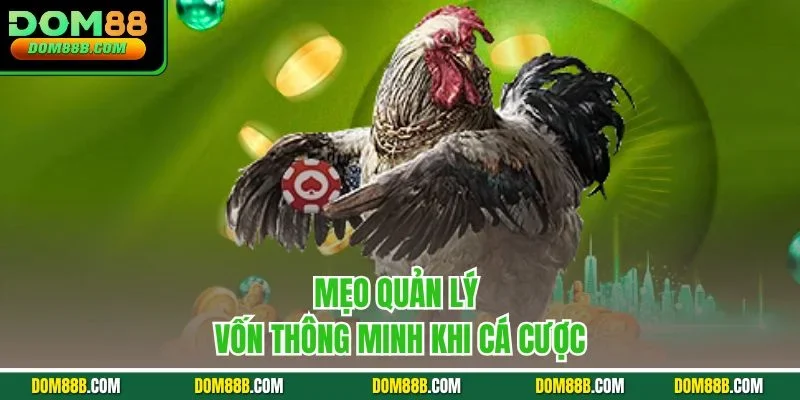 Mẹo quản lý vốn thông minh khi cá cược