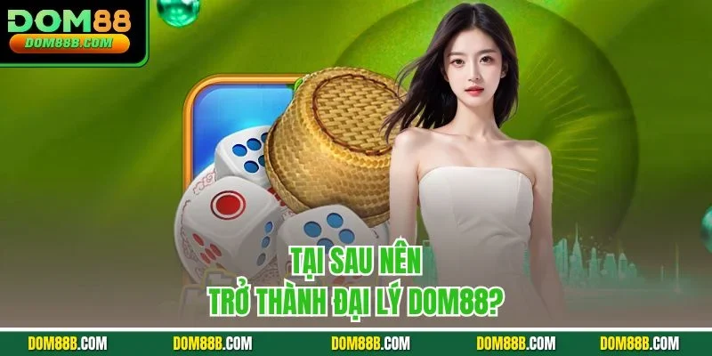 Tại sau nên trở thành đại lý Dom88?